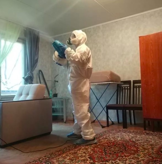 дезинсекция квартиры в Похвистнево